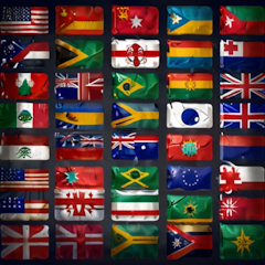FlagMatch